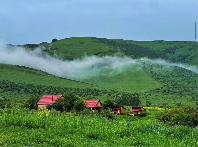 Продам оздоровительный комплекс (пантолечебница)