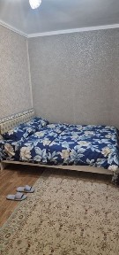 Жамбылская область, Байзак