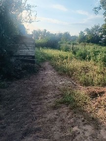 Продам дом в поселке Орлеу (Россовхоз)