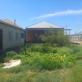 Кызылординская область, им. Жанкожа батыра