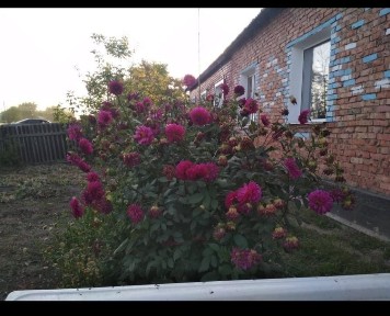 Продается дом в селе Баймырза