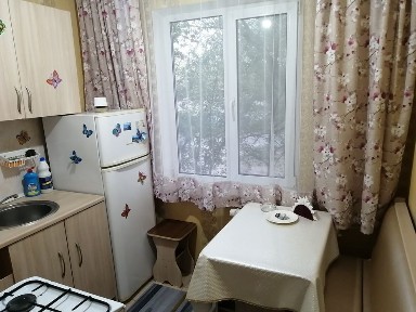 сдам 1 и 2х ком квартиру посуточно с кондиционером