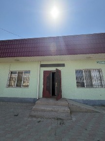 Туркестанская область, Сауран