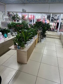 Продам Бутик ТД Қорқыт