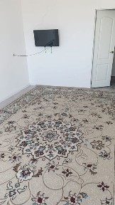 Жамбылская область, Болтирик шешен