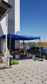 Сдам в аренду место под овощи и фрукты