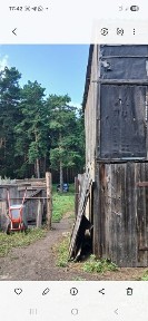 Дом жилой расположен в хорошем районе