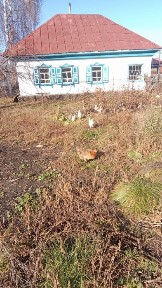 Продам дом в п. Зубовск, рн Алтай (Зыряновск)