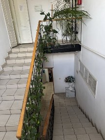 Аренда офисного помещения