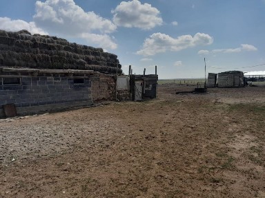 Үй сатамын Қаракөл ауылында, қаладан 40 км жер