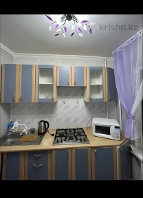 Посуточно, почасовой