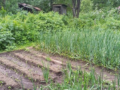 Продам дачу в г. Текели