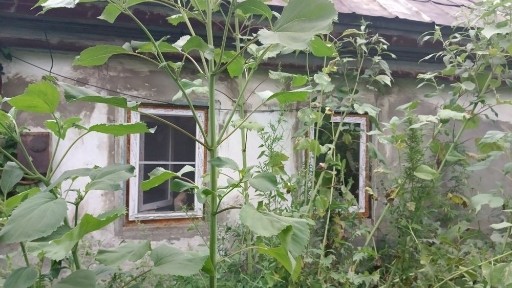 Продам срочно дом можно расрочку писать на Ватсап