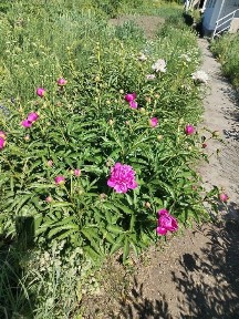 Продам дом с Саратовка