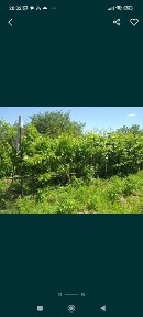 Дача продажа или обмен на квартиру.