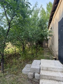 Туркестанская область, Шымкент, Абайский район