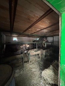 Продажа готовой на 100% фермы для животноводства!