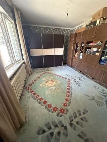 Туркестанская область, Сауран