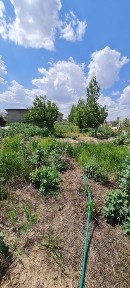Атырауская область, Атырау, Авангард