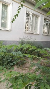 Туркестанская область, Туркестан