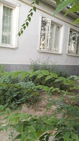 Посуточно жеке 5 болмели уй