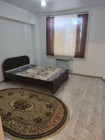 Жамбылская область, Болтирик шешен