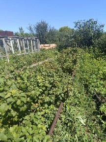 Продаю дачу Пок Оптимист