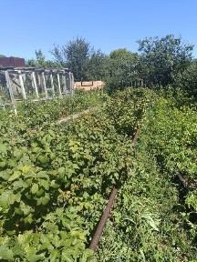 Продаю дачу Пок Оптимист