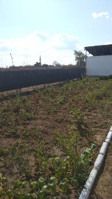 Продам зимний дом 2 ком с участком