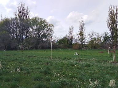 Ищу спонсора для бизнеса