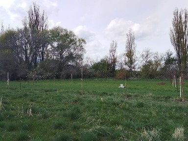 Ищу спонсора для бизнеса