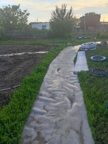 Продам дом в сельской местности