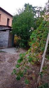 Шубарсу дом продается