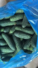 Алматинская область, Талдыкорган, Микрорайон 1