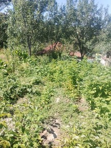 үй сатылады, орталыққа жақын