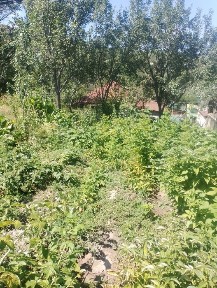 үй сатылады, орталыққа жақын