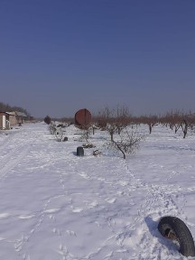 Сдам в аренду фазенду Николаевка