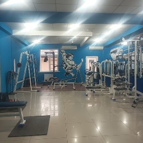 Тренажёрный зал Iron Fitness Gym