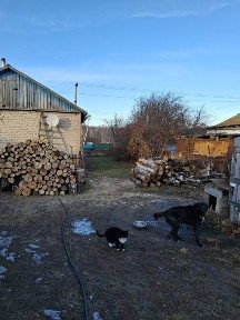 Продам дом в Боголюбово.