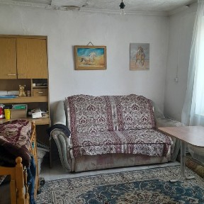 Продам частный дом в село Бодене