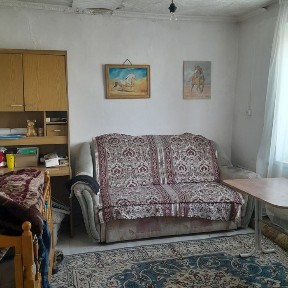 Продам частный дом в село Бодене