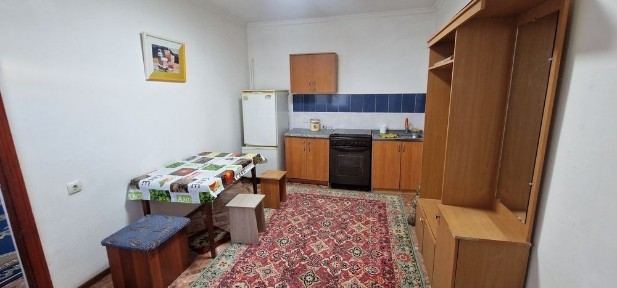Кызылординская область, Алмалы