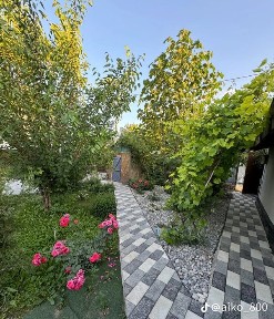 Сдаём посуточно дачу на Кайнар булаке