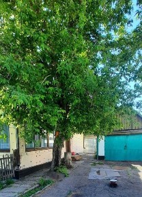 продается отдельный дом 65кв. м, 6 соток. Срочно, торг