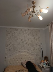 Квартира на длительный срок