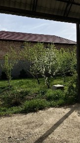 Продается Коттедж в Шымкенте