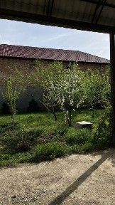 Продается Коттедж в Шымкенте
