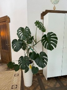 Костанайская область, Костанай