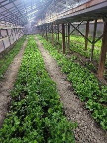 Продам дом а пос. Бактыбай