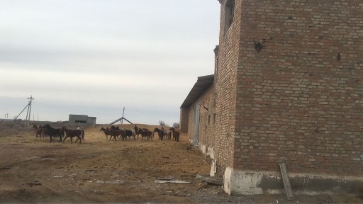 База здание под аренду на долгий срок по следущим выкупом